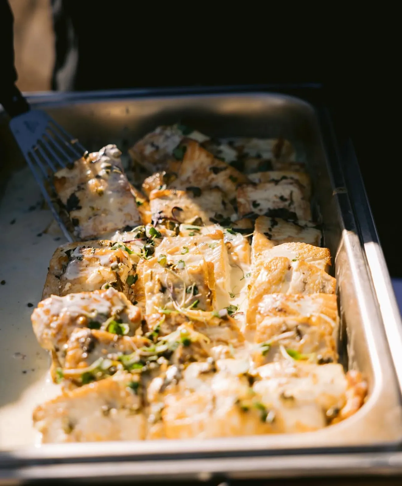 Buffet service by Grapevine Catering