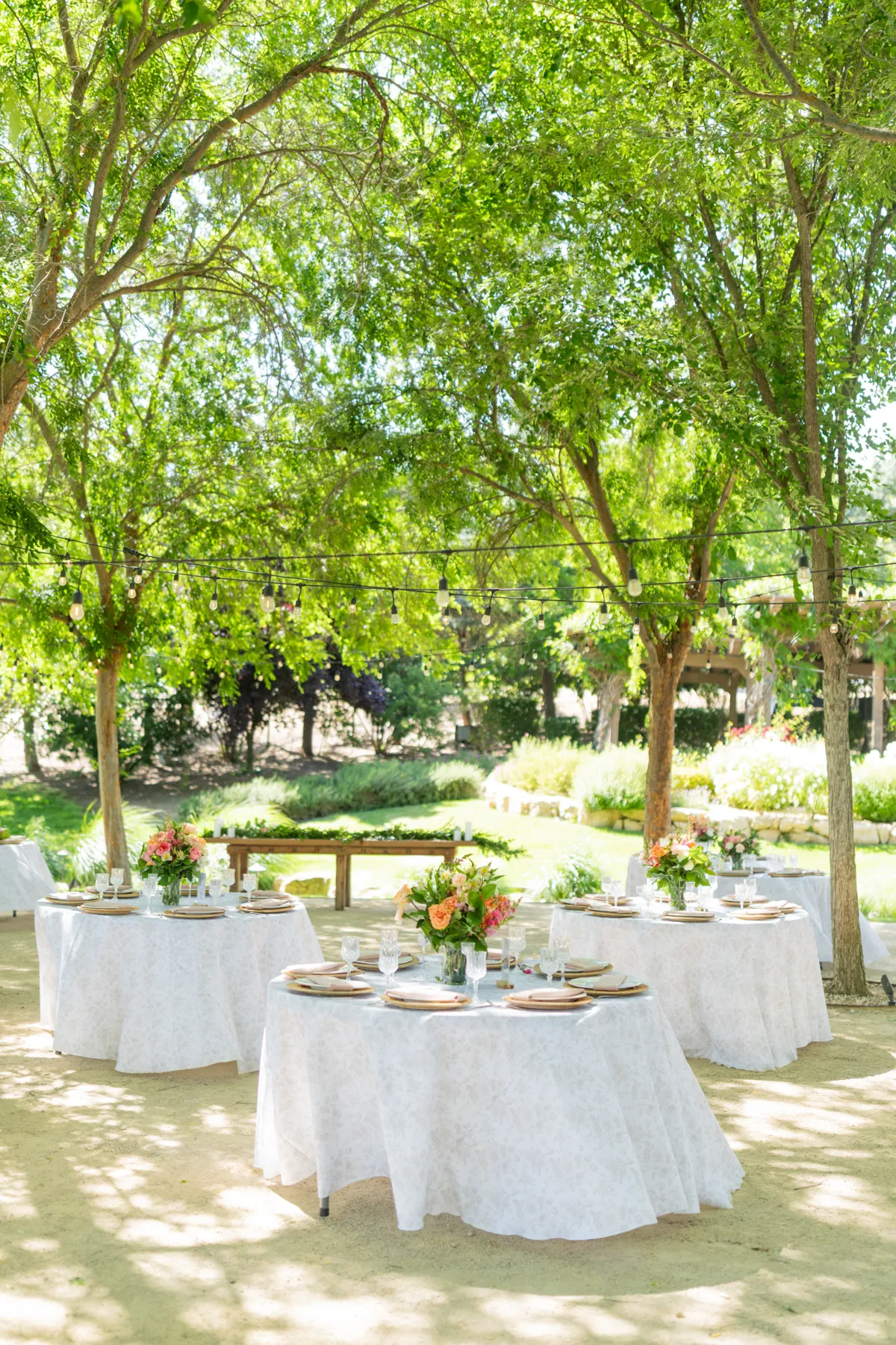 Tables and venue settings at a Grapevine Catering event