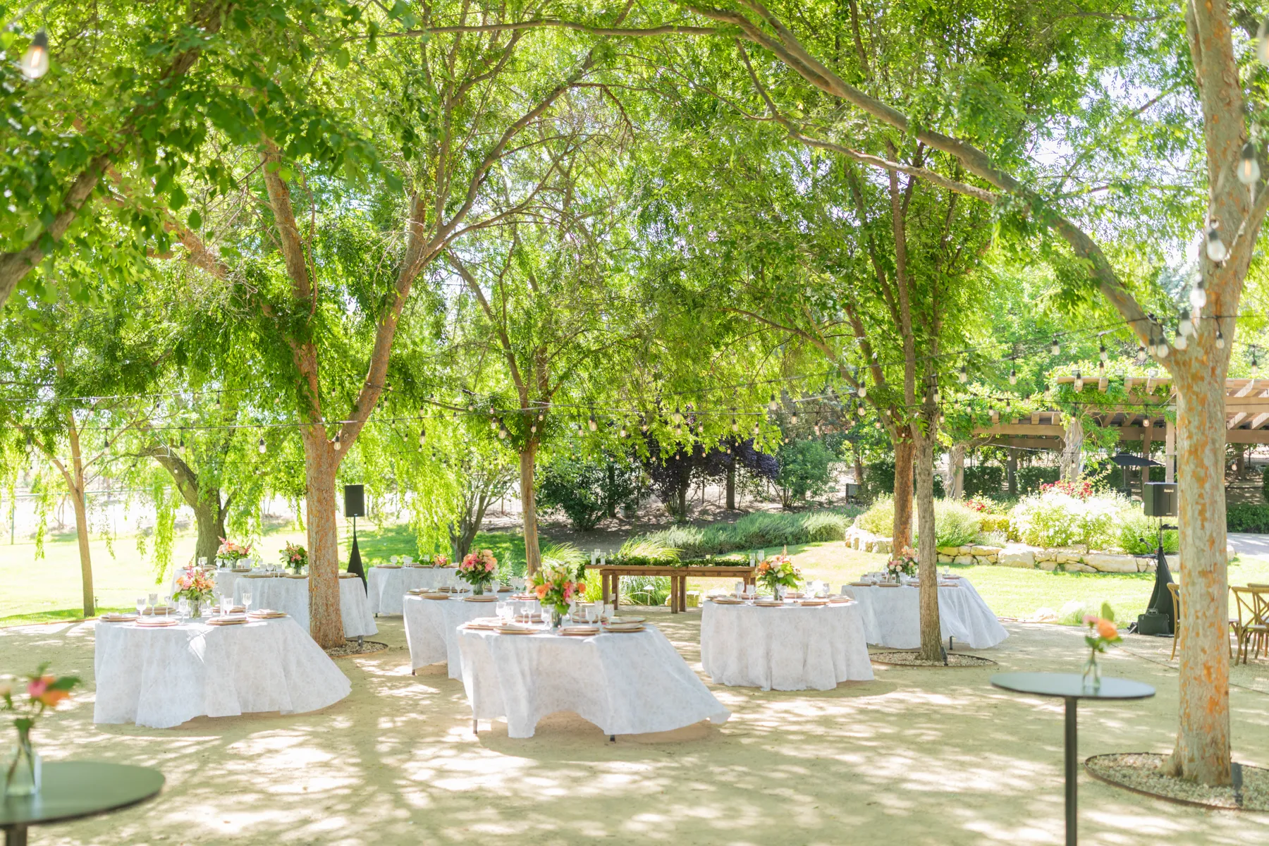 Tables and venue settings at a Grapevine Catering event